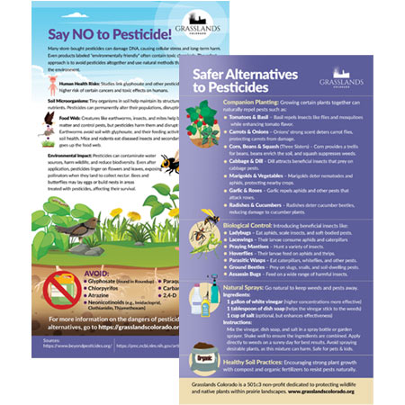 Safe Atlernatives to Psticides