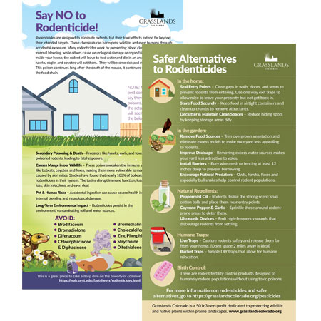 Safe Alternatives to Rodenticides