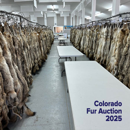 Colorado fur auction