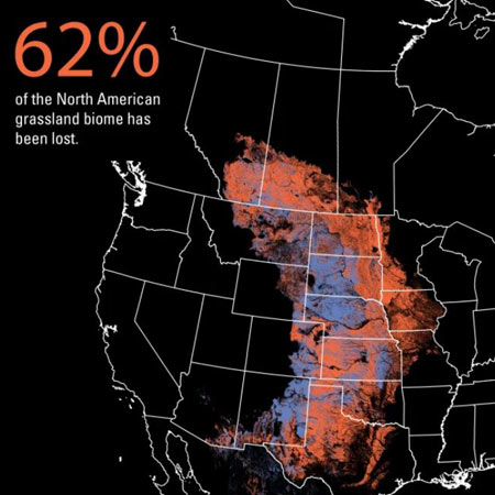 grasslands being lost stat 62%