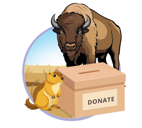 Donate