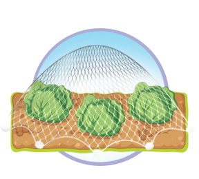 Netting