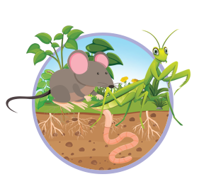 Pesticides