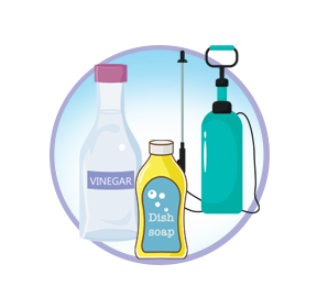 Natural Sprays