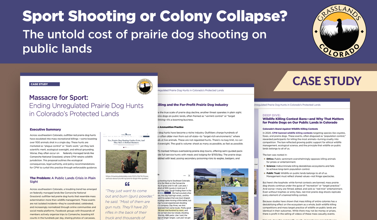 Case Stucy: Sport Shootin or Colony Collapse