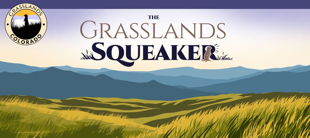 Grasslands Squeker Newesletter Signup